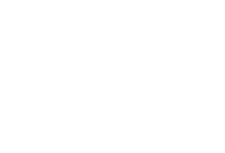3T