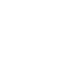aim-white